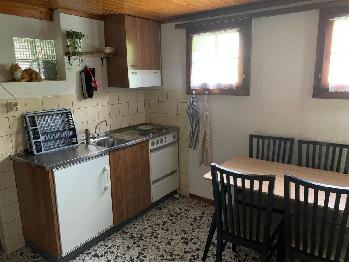 Naturnahe Wohnung Fur 1 - 4 Personen Brienz  Esterno foto